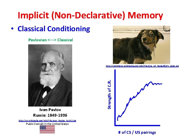 Implicit (Non-Declarative) Memory • Classical Conditioning Pavlovian <---> Classical Ivan Pavlov Russia: 1849 -1936