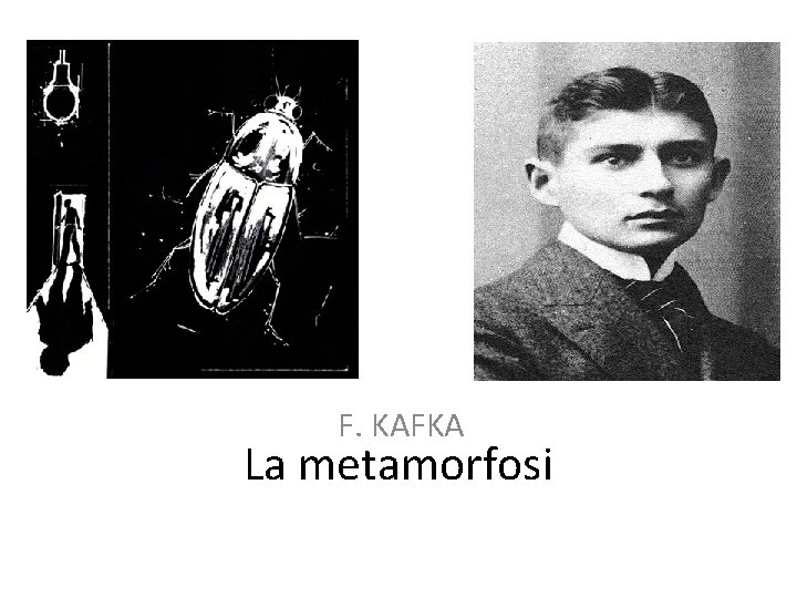 F. KAFKA La metamorfosi 