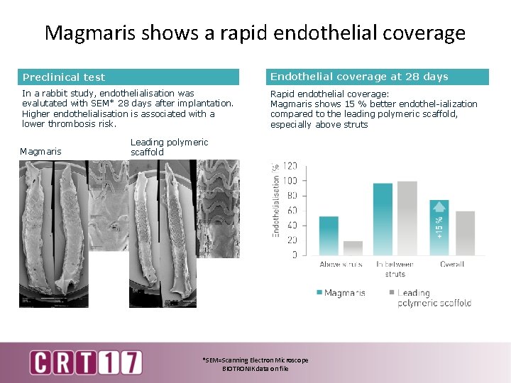 Magmaris shows a rapid endothelial coverage Preclinical test Endothelial coverage at 28 days In