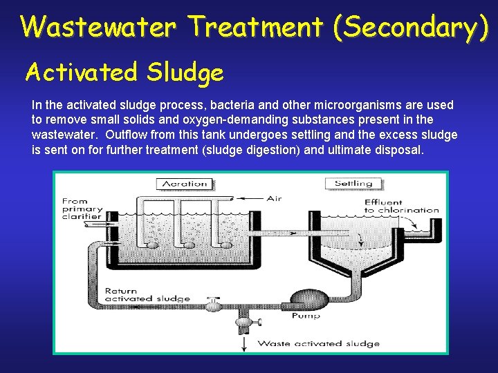 Wastewater Treatment (Secondary) Activated Sludge In the activated sludge process, bacteria and other microorganisms
