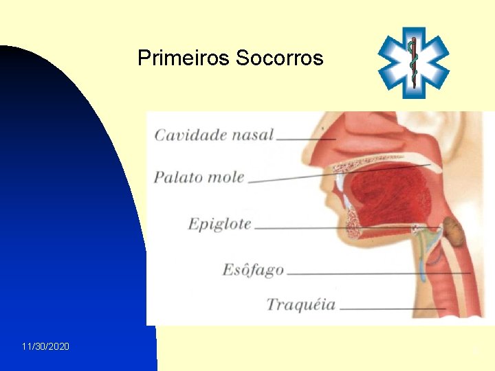 Primeiros Socorros 11/30/2020 3 