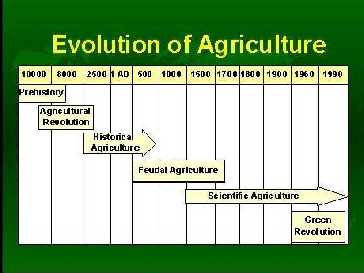 The Green Revolution Ms Scribner Ecology 3 Agricultural