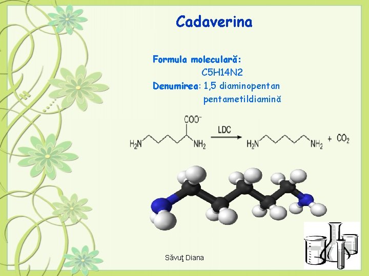 Cadaverina Formula moleculară: C 5 H 14 N 2 Denumirea: 1, 5 diaminopentan pentametildiamină