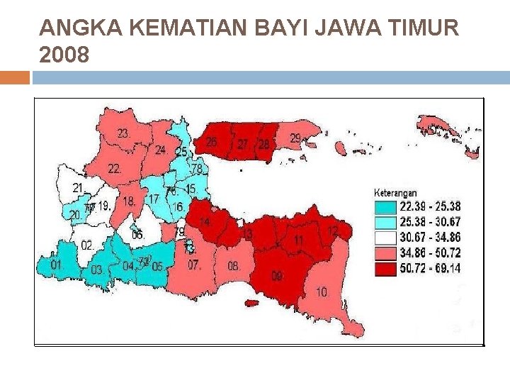 ANGKA KEMATIAN BAYI JAWA TIMUR 2008 