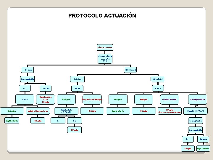 PROTOCOLO ACTUACIÓN Nódulo tiroideo Historia clínica Ecografía TSH baja TSH Normal Gammagrafía Frío Caliente
