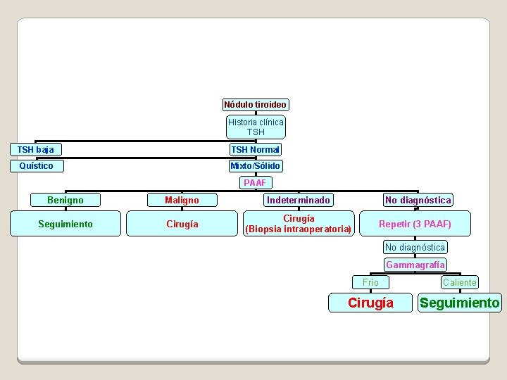 Nódulo tiroideo Historia clínica TSH baja TSH Normal Quístico Mixto/Sólido PAAF Benigno Maligno Indeterminado