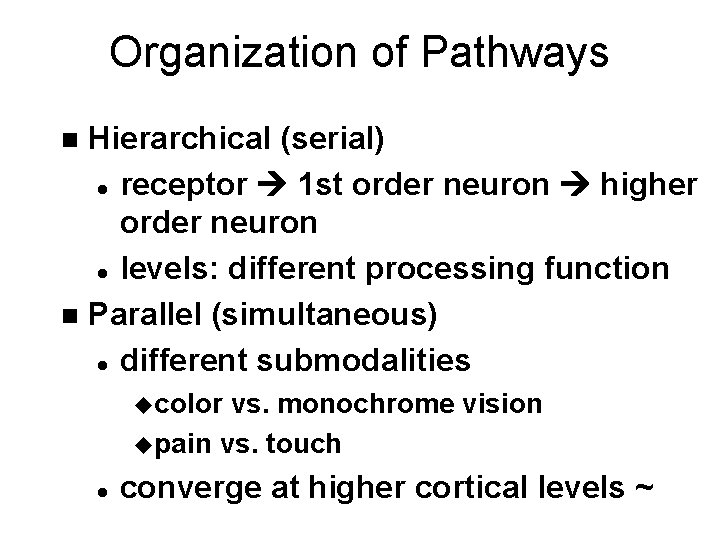 Organization of Pathways Hierarchical (serial) l receptor 1 st order neuron higher order neuron