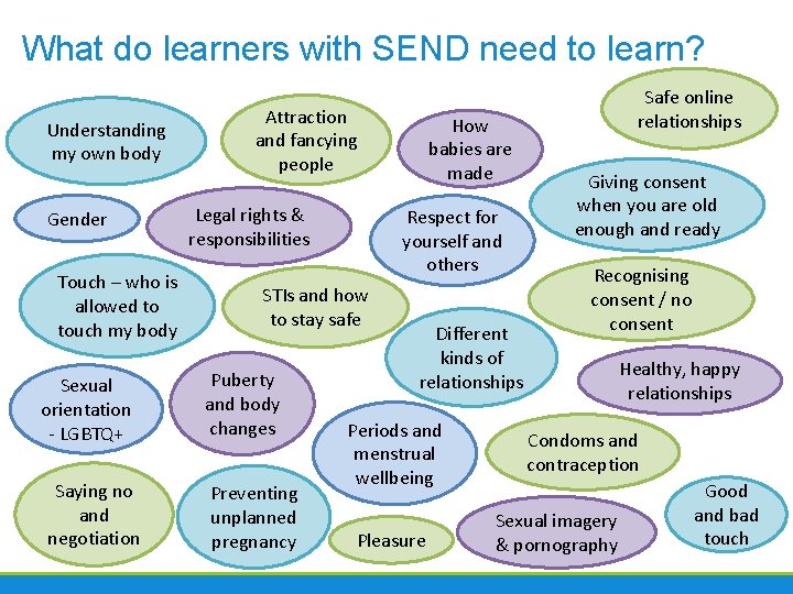 What do learners with SEND need to learn? Understanding my own body Gender Touch