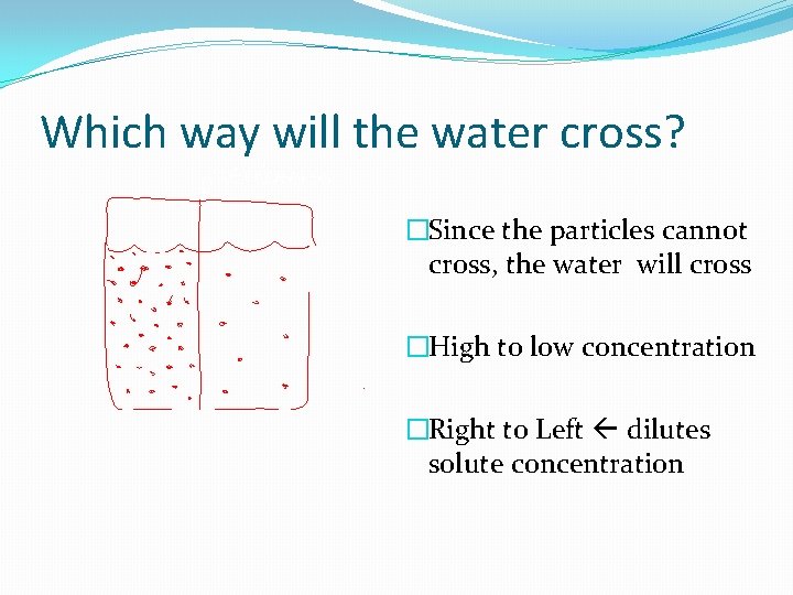 Which way will the water cross? �Since the particles cannot cross, the water will