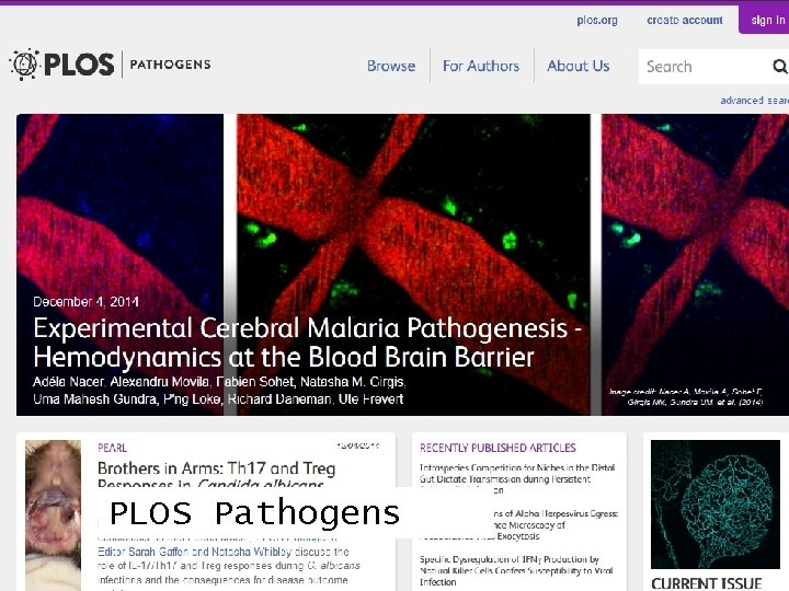 PLOS Pathogens 