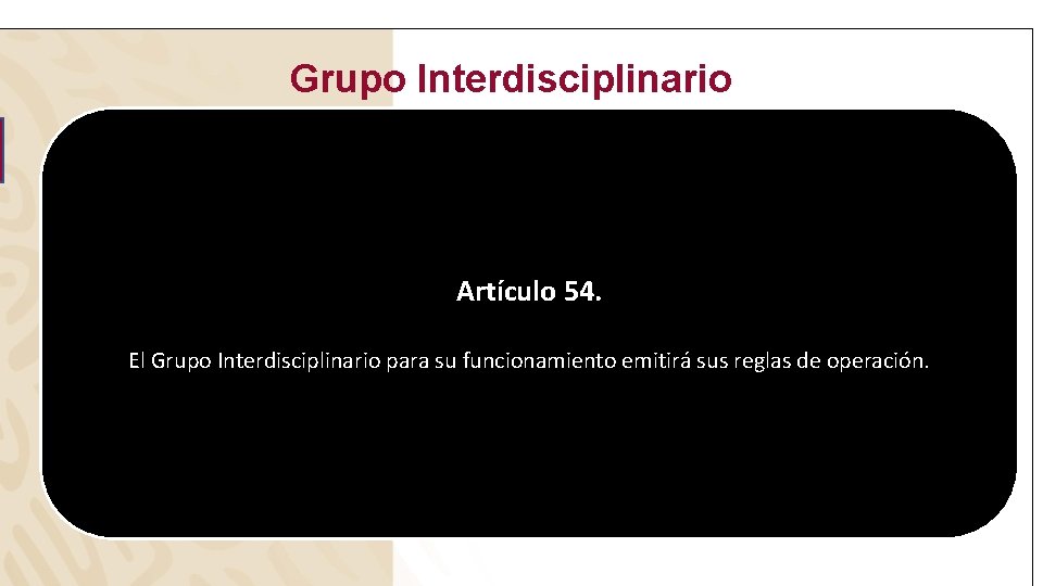 Grupo Interdisciplinario Artículo 54. El Grupo Interdisciplinario para su funcionamiento emitirá sus reglas de