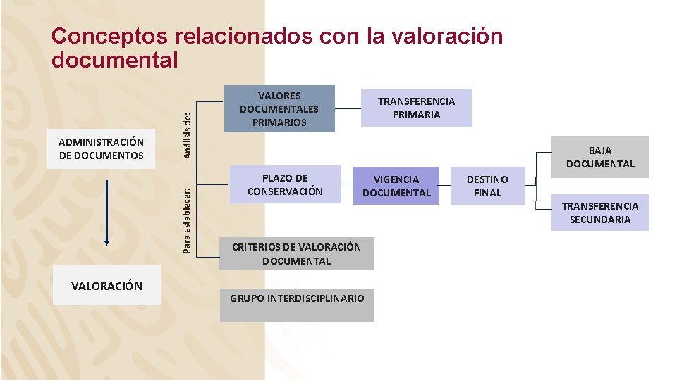 Para establecer: ADMINISTRACIÓN DE DOCUMENTOS Análisis de: Conceptos relacionados con la valoración documental VALORACIÓN