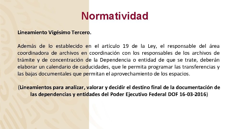 Normatividad Lineamiento Vigésimo Tercero. Además de lo establecido en el artículo 19 de la