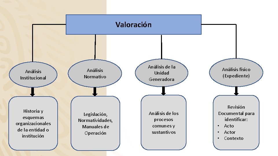 Valoración Análisis Institucional Historia y esquemas organizacionales de la entidad o institución Análisis Normativo