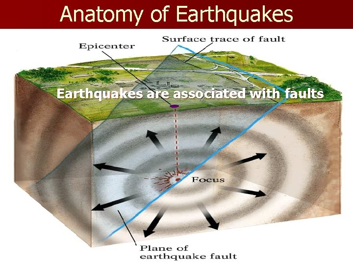 Anatomy of Earthquakes are associated with faults 