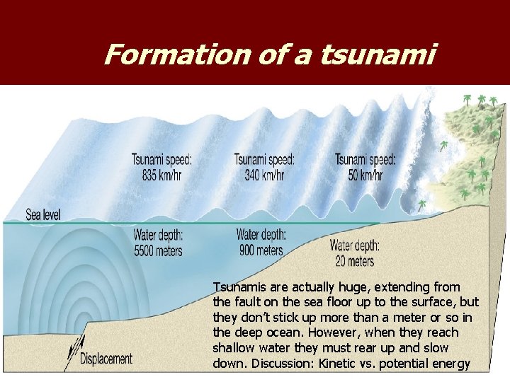Formation of a tsunami Tsunamis are actually huge, extending from the fault on the