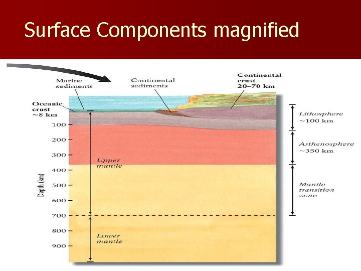 Surface Components magnified ! 