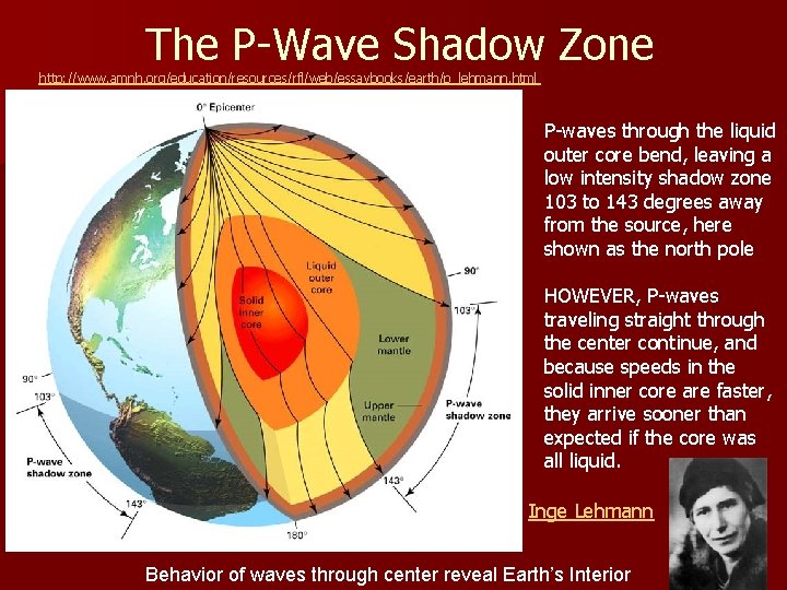 The P-Wave Shadow Zone http: //www. amnh. org/education/resources/rfl/web/essaybooks/earth/p_lehmann. html P-waves through the liquid outer