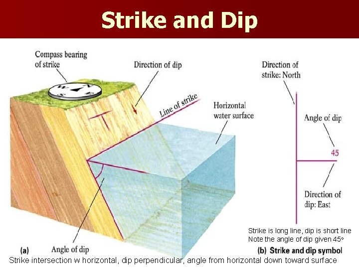 Strike and Dip Strike is long line, dip is short line Note the angle
