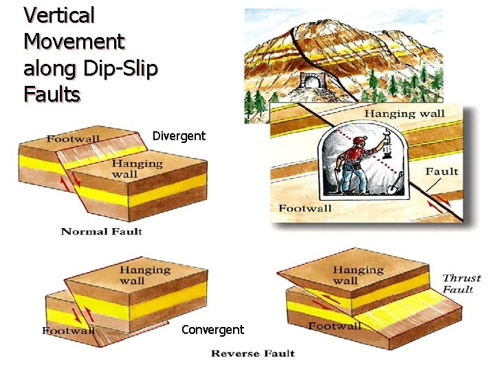Vertical Movement along Dip-Slip Faults Divergent Convergent 