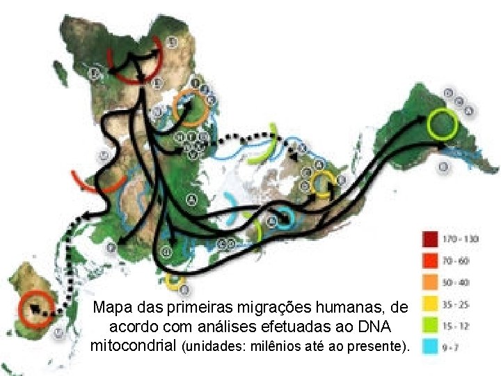 Mapa das primeiras migrações humanas, de acordo com análises efetuadas ao DNA mitocondrial (unidades: