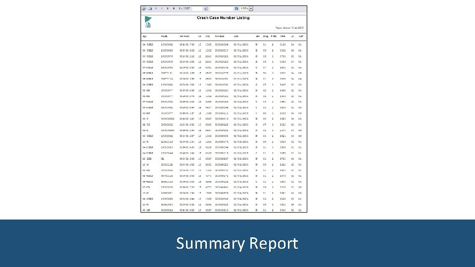 Summary Report 