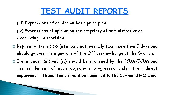 TEST AUDIT REPORTS (iii) Expressions of opinion on basic principles (iv) Expressions of opinion