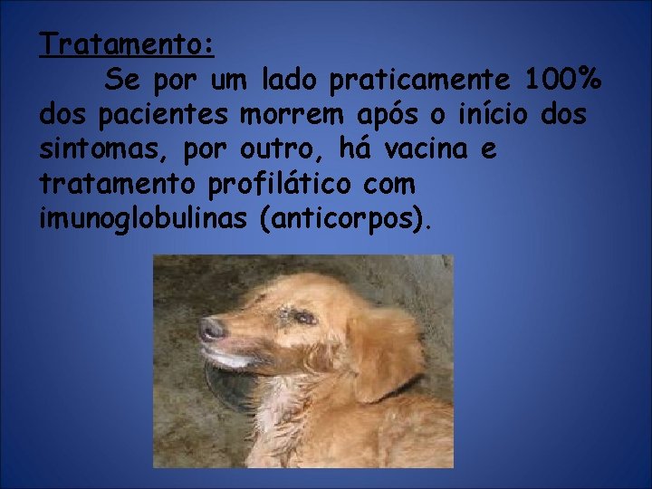 Tratamento: Se por um lado praticamente 100% dos pacientes morrem após o início dos Tratamento: Se por um lado praticamente 100% dos pacientes morrem após o início dos