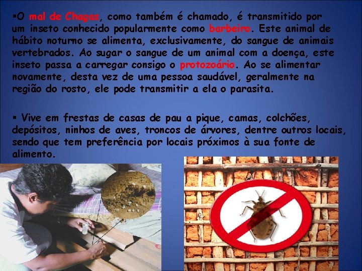 §O mal de Chagas, como também é chamado, é transmitido por um inseto conhecido