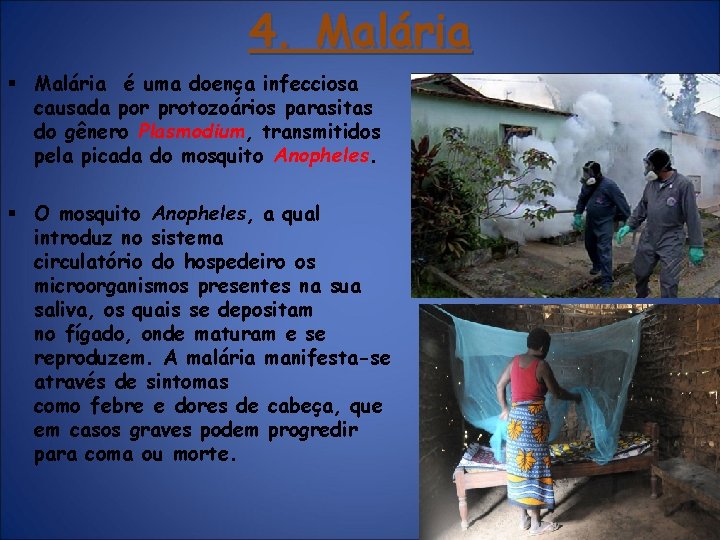 4. Malária § Malária é uma doença infecciosa causada por protozoários parasitas do gênero 4. Malária § Malária é uma doença infecciosa causada por protozoários parasitas do gênero