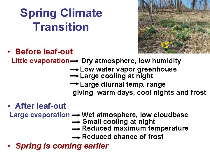 Spring Climate Transition • Before leaf-out Little evaporation Dry atmosphere, low humidity Low water