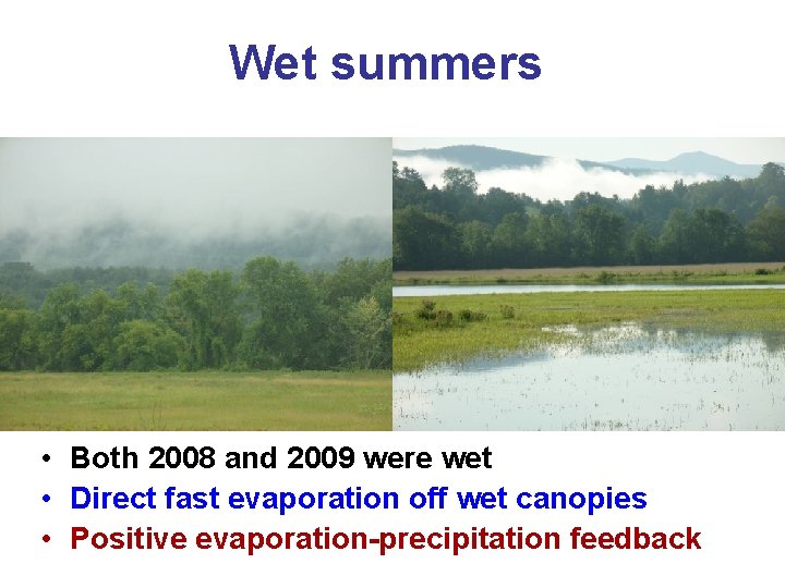 Wet summers • Both 2008 and 2009 were wet • Direct fast evaporation off