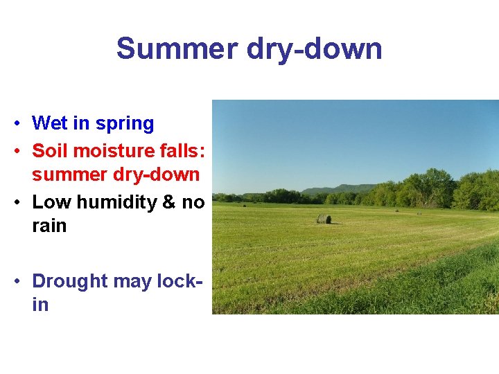 Summer dry-down • Wet in spring • Soil moisture falls: summer dry-down • Low