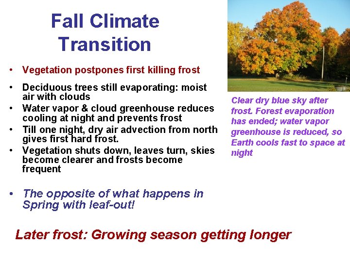 Fall Climate Transition • Vegetation postpones first killing frost • Deciduous trees still evaporating: