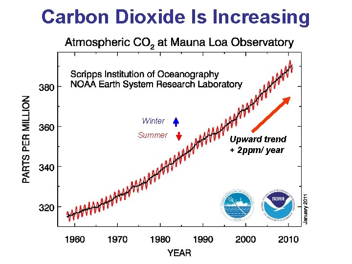 Carbon Dioxide Is Increasing Winter Summer Upward trend + 2 ppm/ year 