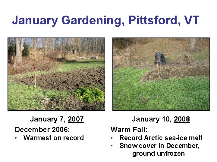 January Gardening, Pittsford, VT January 7, 2007 December 2006: January 10, 2008 Warm Fall: