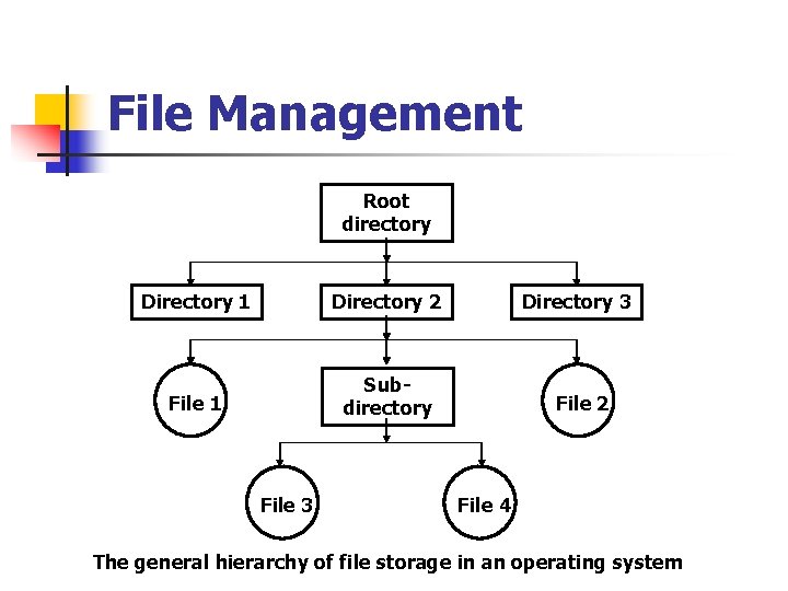 File Management Root directory Directory 1 Directory 2 File 1 Subdirectory File 3 Directory File Management Root directory Directory 1 Directory 2 File 1 Subdirectory File 3 Directory
