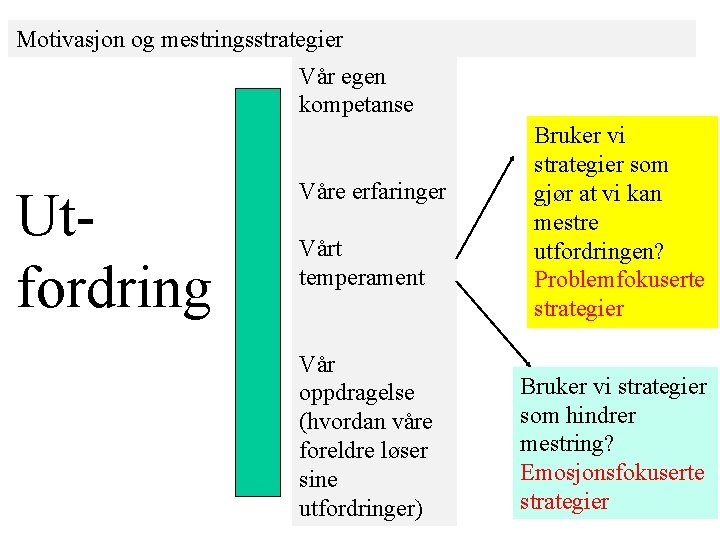 Motivasjon og mestringsstrategier Vår egen kompetanse Utfordring Våre erfaringer Vårt temperament Vår oppdragelse (hvordan Motivasjon og mestringsstrategier Vår egen kompetanse Utfordring Våre erfaringer Vårt temperament Vår oppdragelse (hvordan
