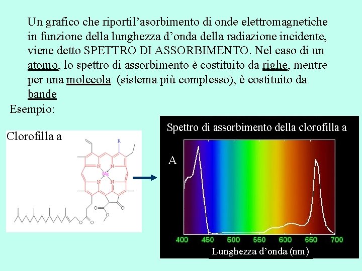 Un grafico che riportil’asorbimento di onde elettromagnetiche in funzione della lunghezza d’onda della radiazione
