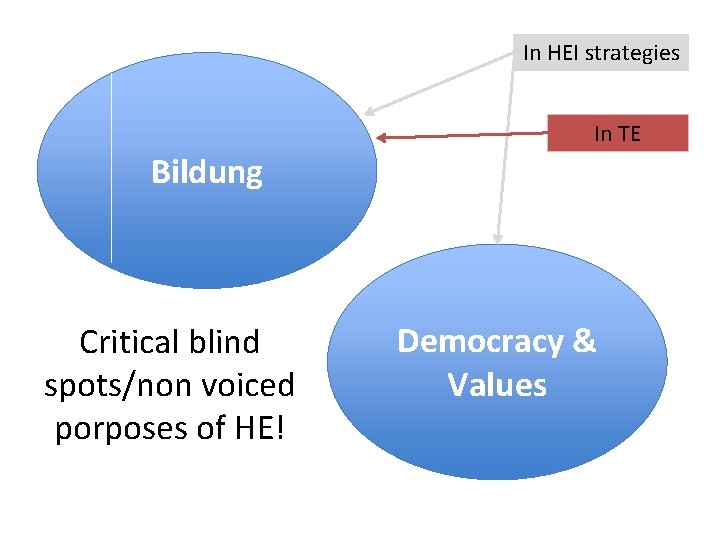 In HEI strategies In TE Bildung Critical blind spots/non voiced porposes of HE! Democracy