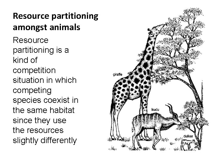 Resource partitioning amongst animals Resource partitioning is a kind of competition situation in which