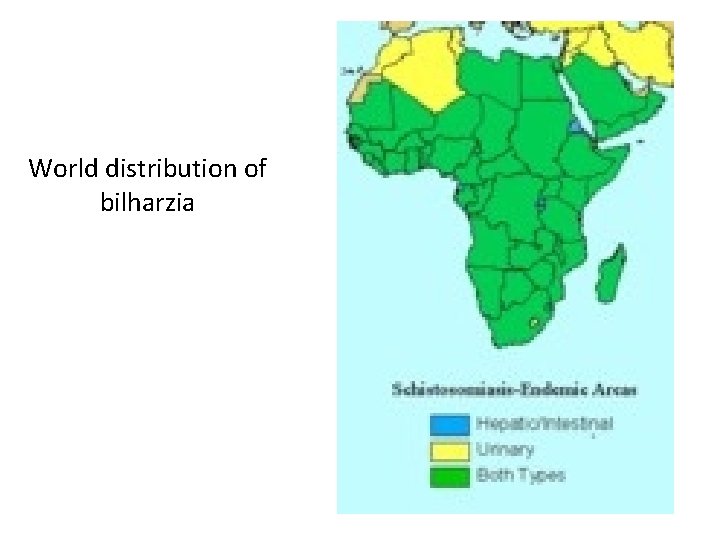 World distribution of bilharzia 