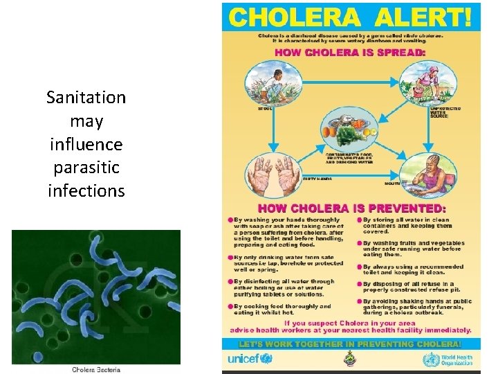 Sanitation may influence parasitic infections 