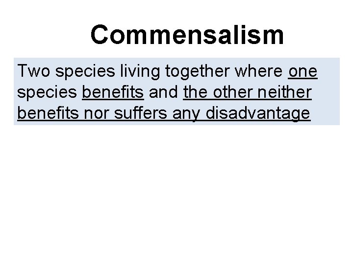 Commensalism Two species living together where one species benefits and the other neither benefits