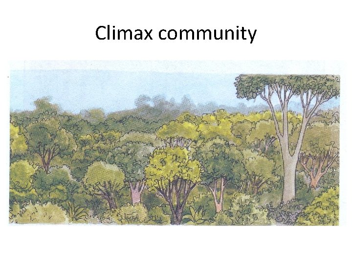Climax community 