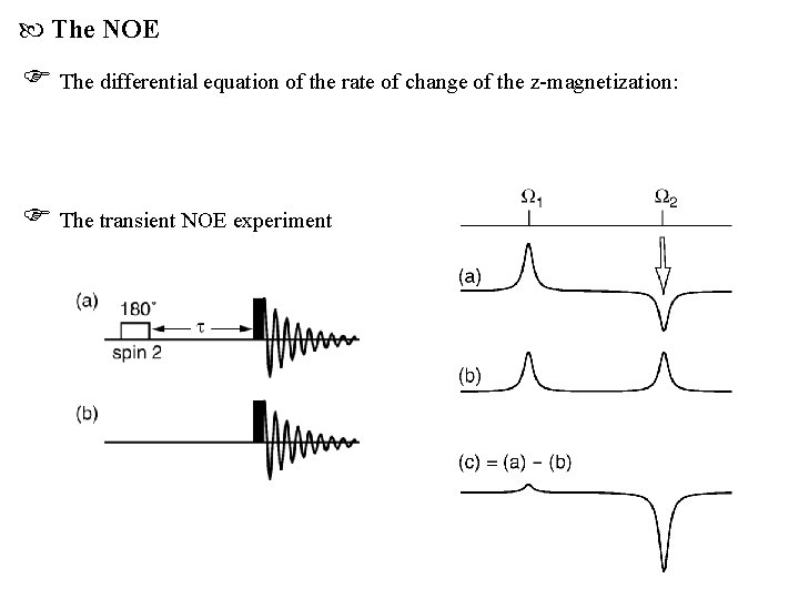  The NOE The differential equation of the rate of change of the z-magnetization: