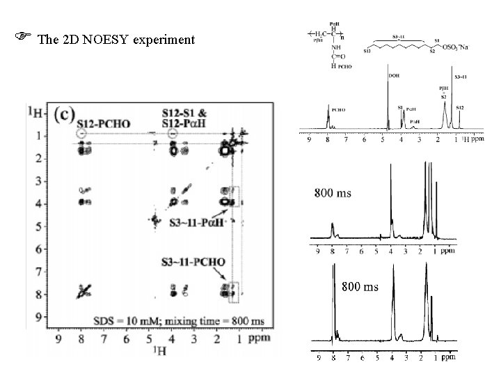  The 2 D NOESY experiment 