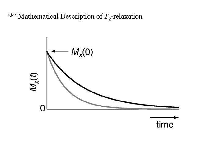  Mathematical Description of T 2 -relaxation 