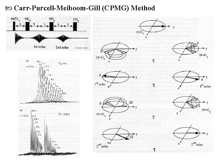  Carr-Purcell-Meiboom-Gill (CPMG) Method 