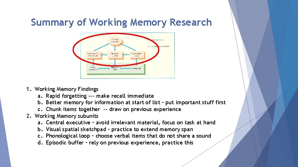 Summary of Working Memory Research 1. Working Memory Findings a. Rapid forgetting --- make